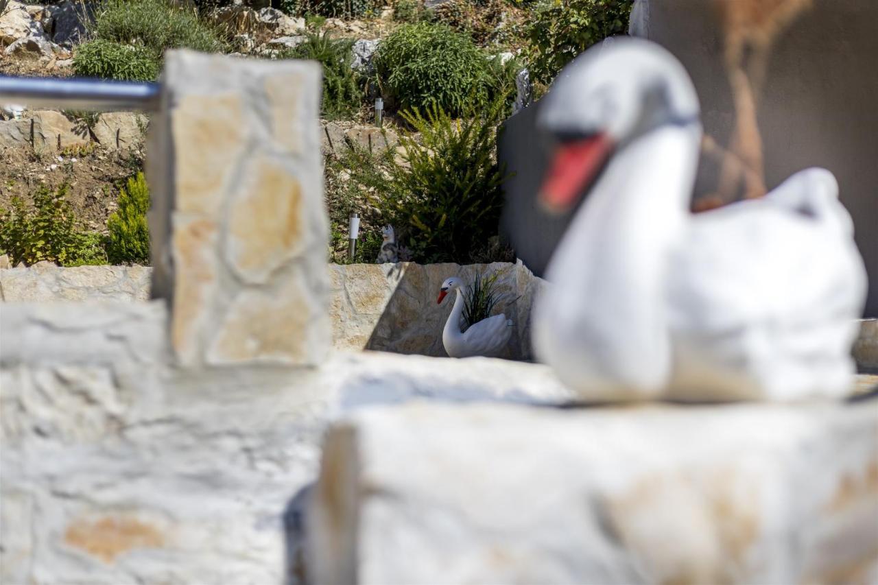 Holiday Home Dijamant Kučiće エクステリア 写真